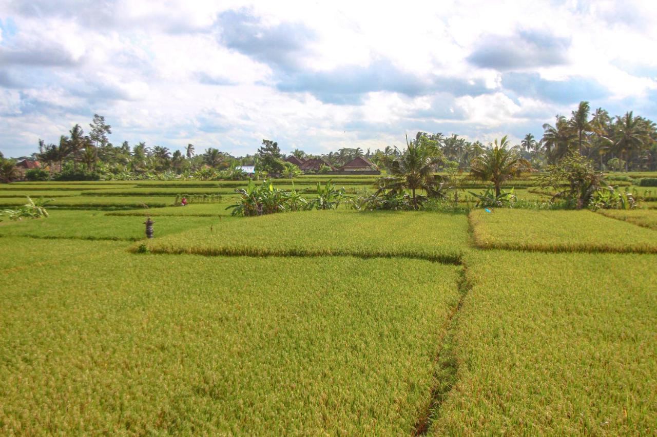 Kubu Sari Ubud Luaran gambar